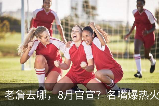 老詹去哪，8月官宣？名嘴爆热火才是终极归宿，字母哥替他扛防守