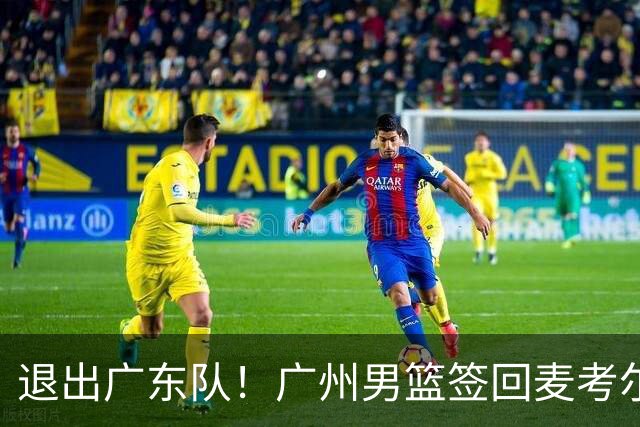 退出广东队！广州男篮签回麦考尔，上赛季坑惨杜锋了！